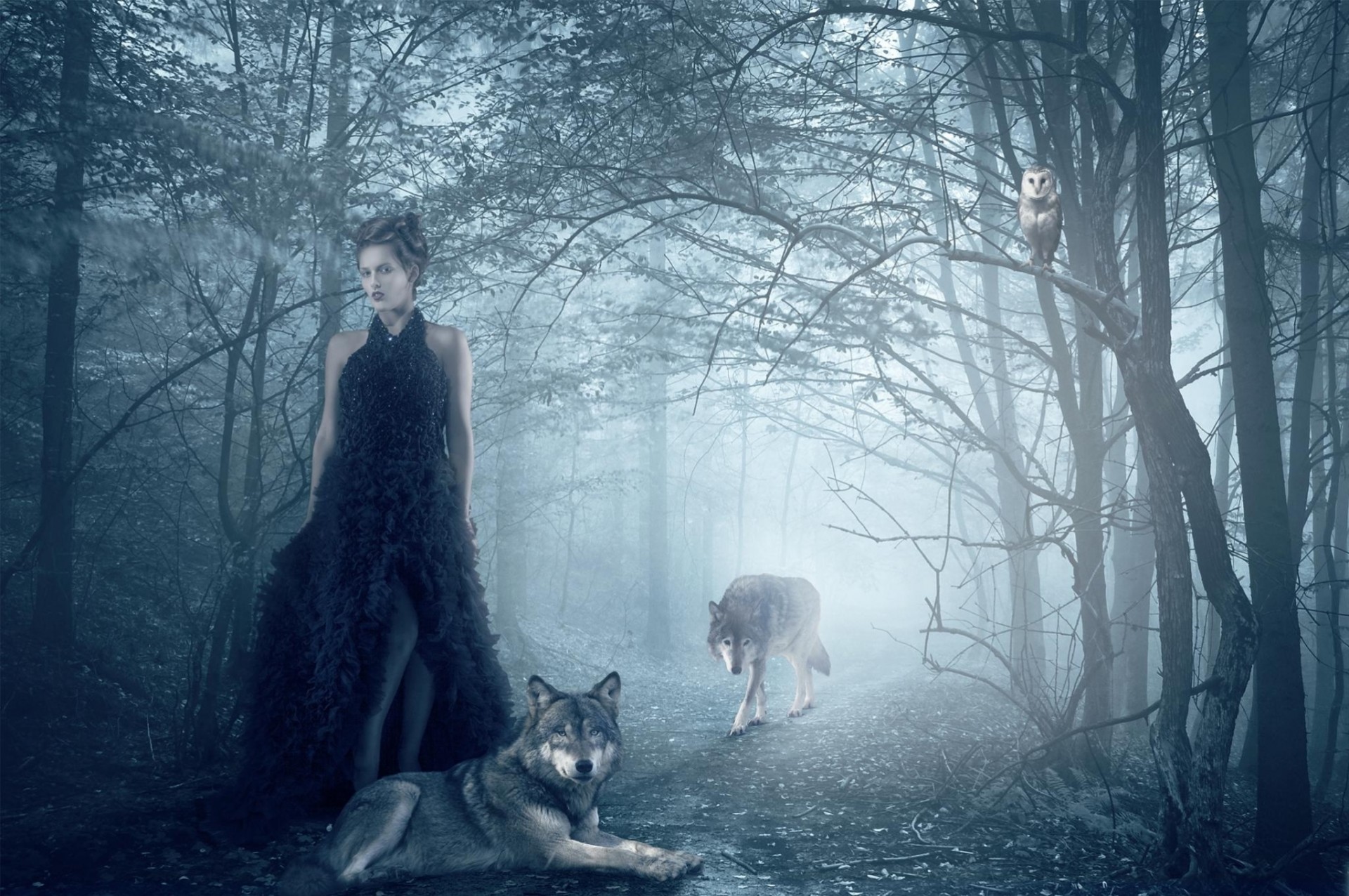 forest girl wolves owl