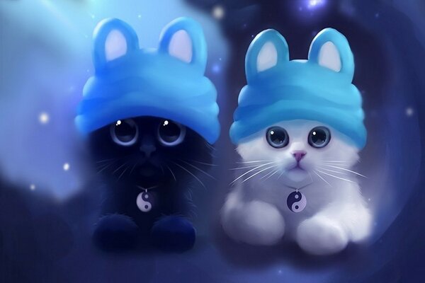 Chatons chinois Yin-Yang en bonnets