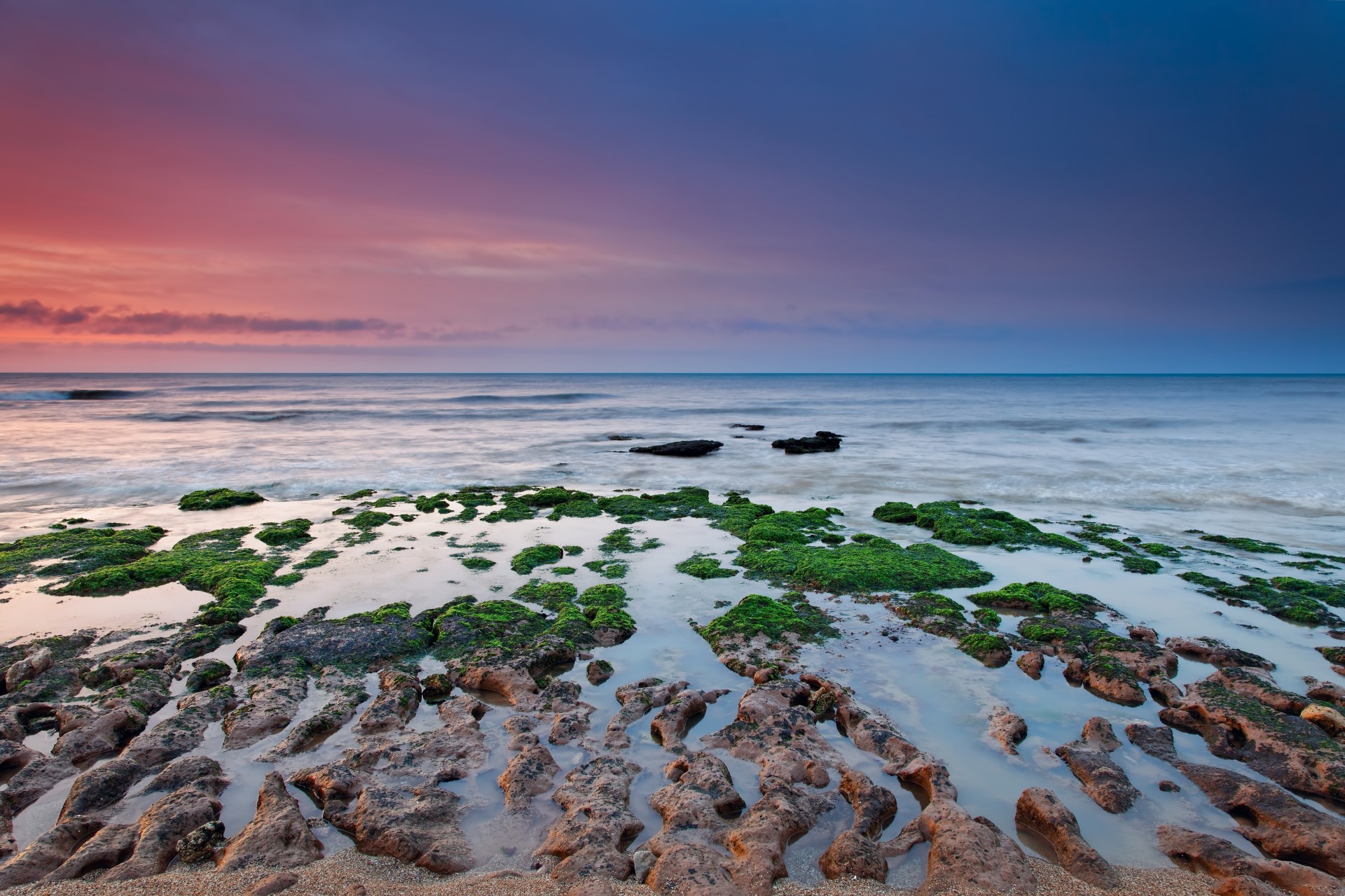 водоросли море мох рифы пасмурно