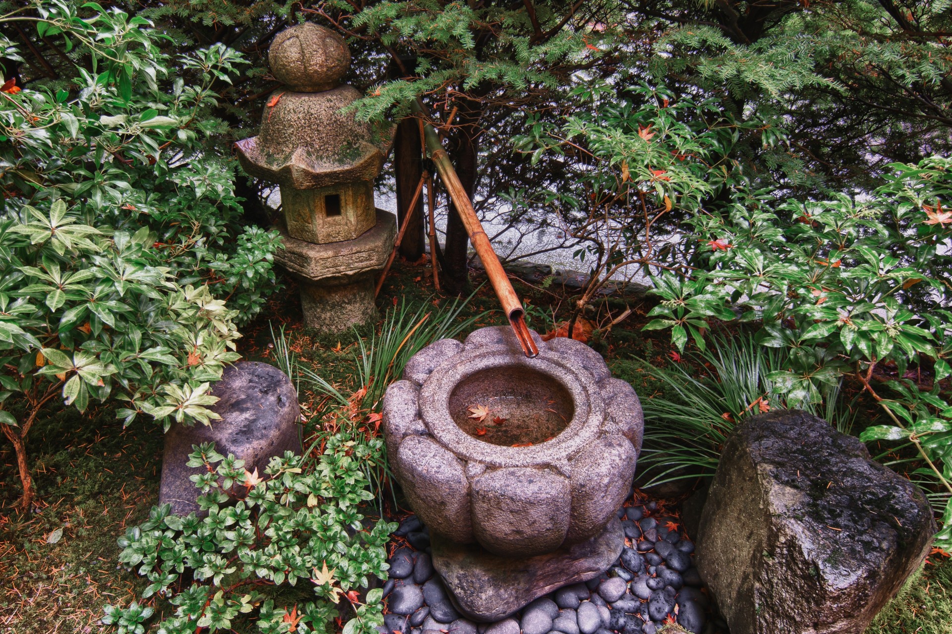 bäume landschaft japanischer garten portland