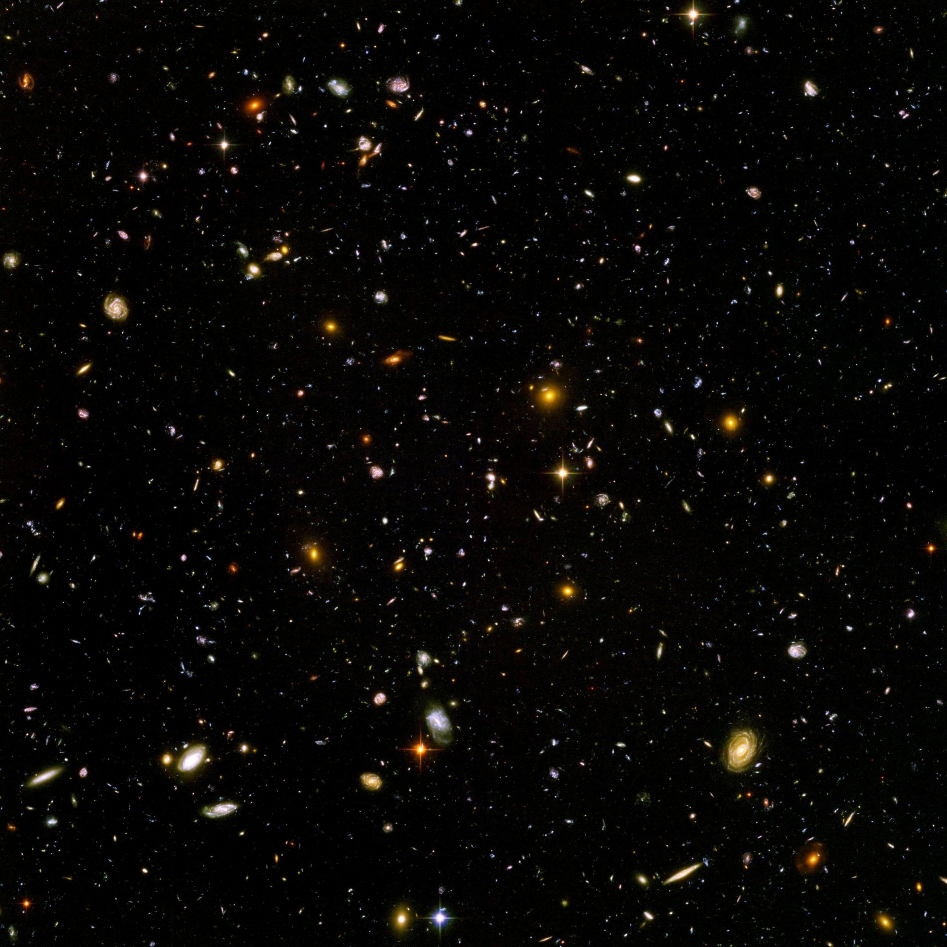 campo ultra profondo hubble