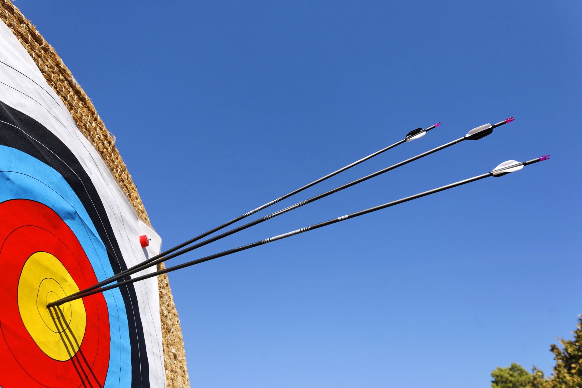 flèches pour tir à l arc paille