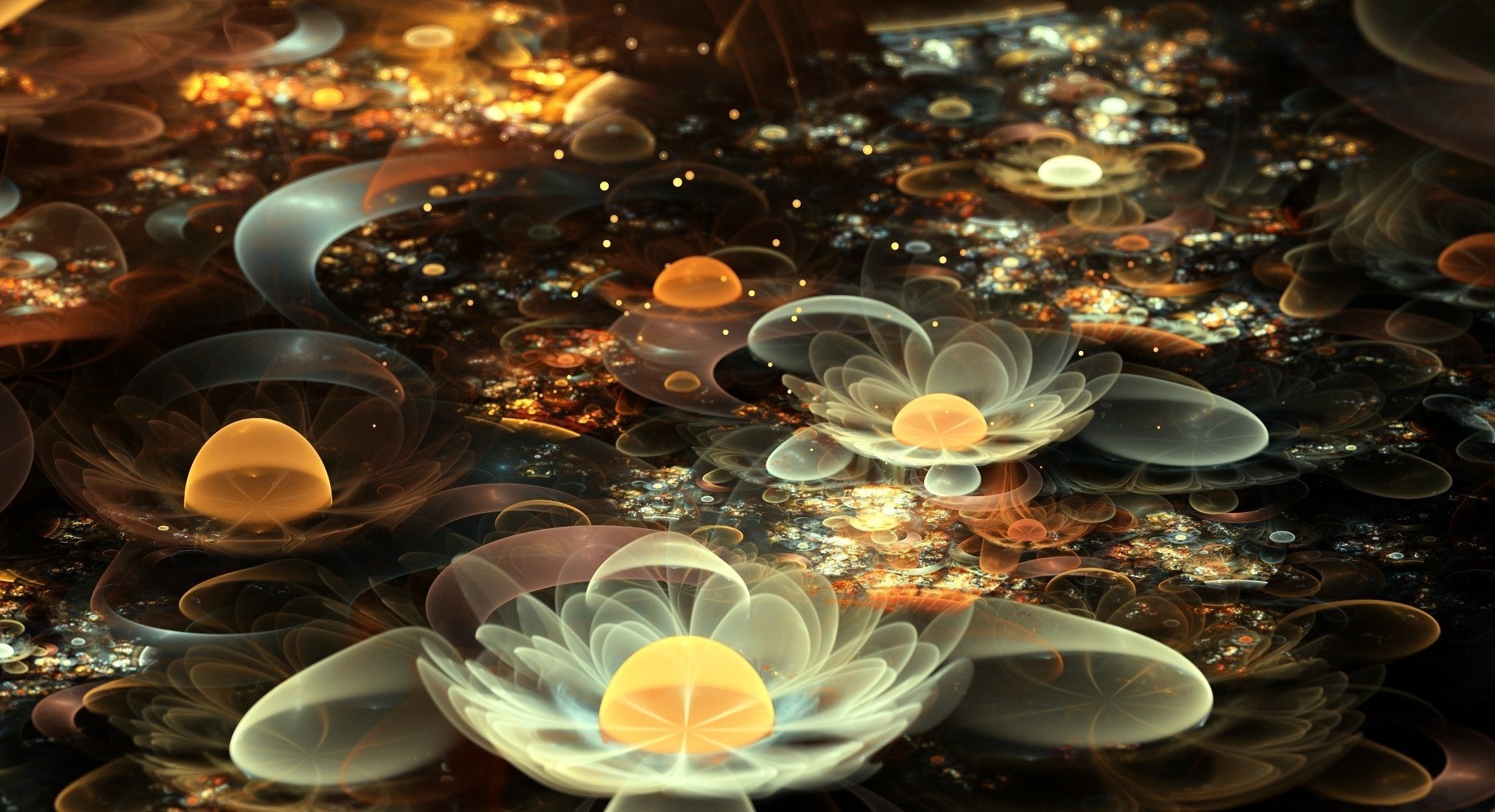 flowers abstraction fractal water lilies white lily