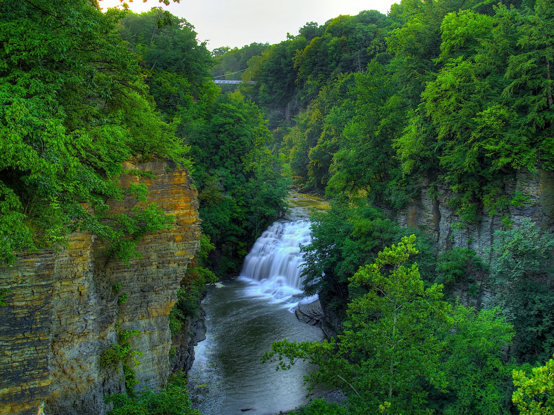 tree rock waterfall river nature