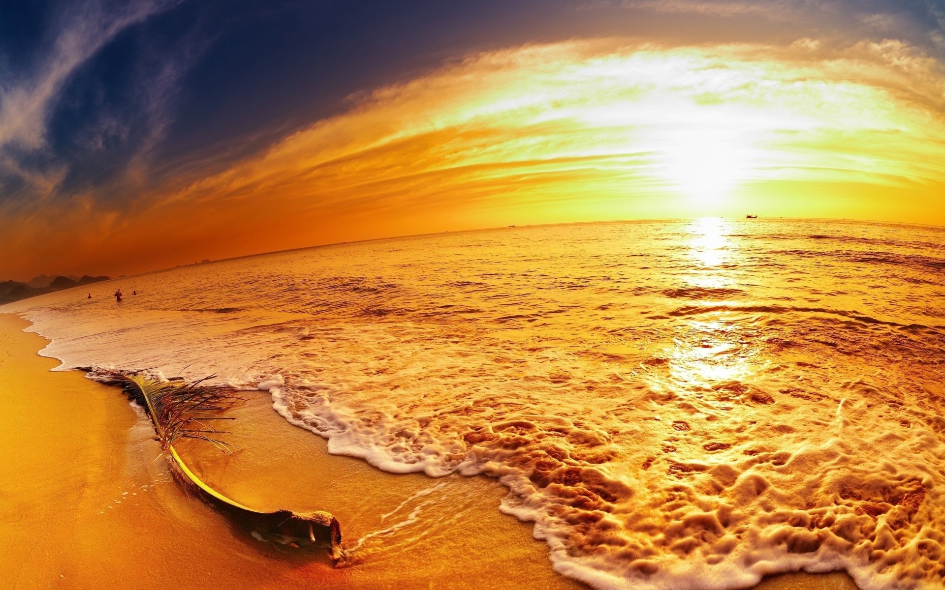 spiaggia arancione tramonto riva panorama notte mare ramo sabbia