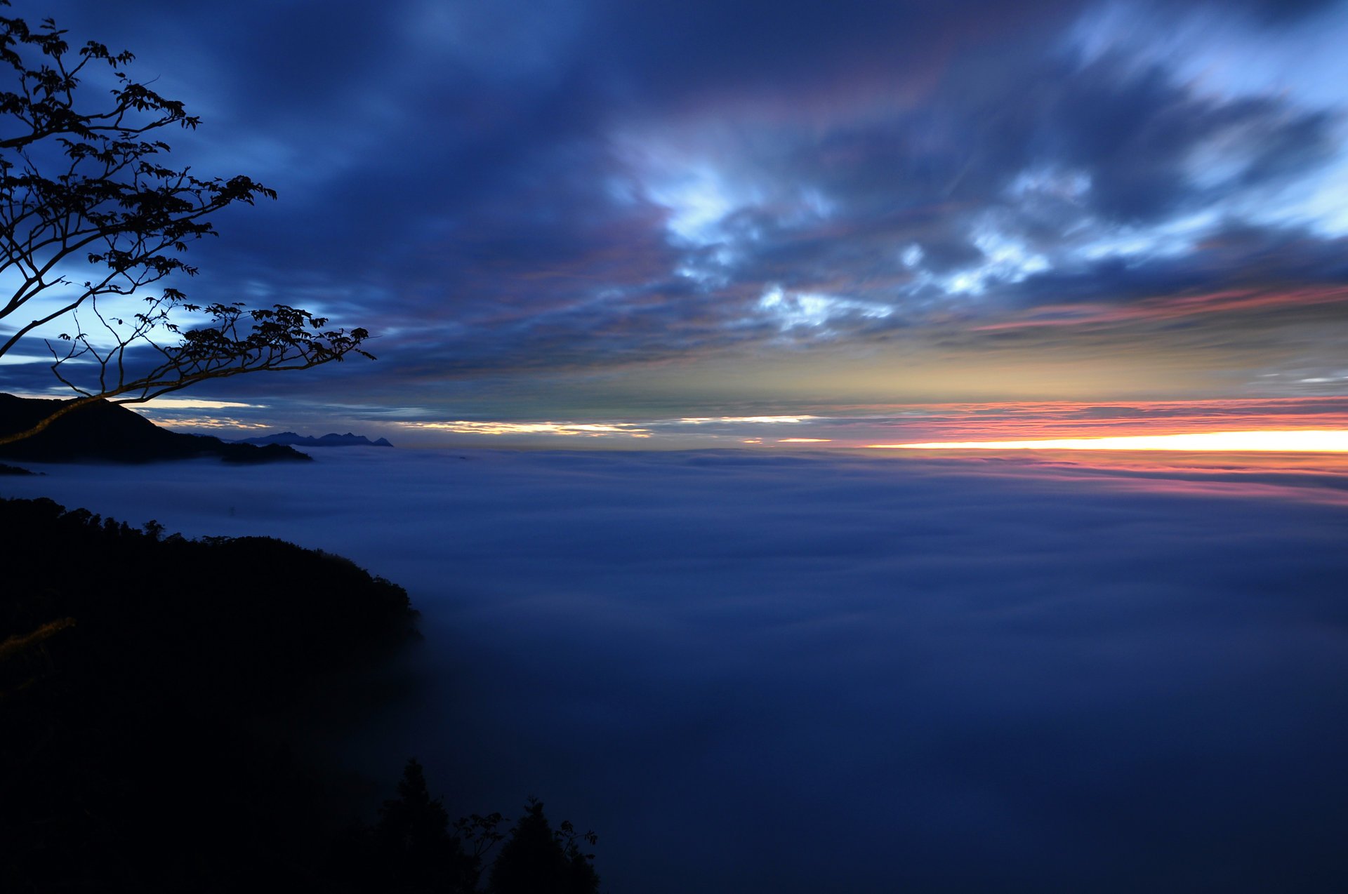 abend sonnenuntergang nebel bäume zweige dunst wolken himmel