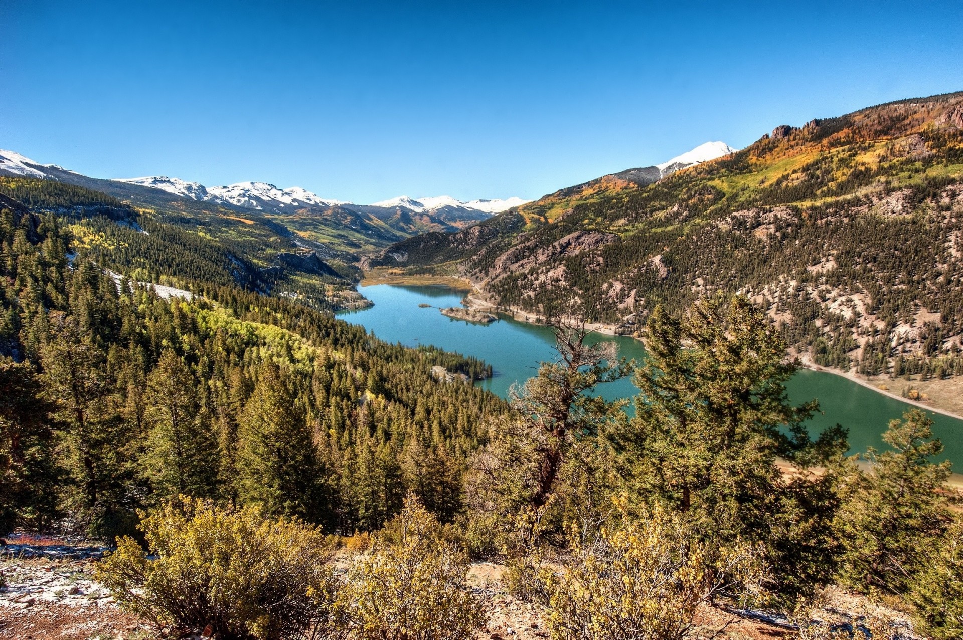 landscape forest colorado rocky mountains mountain