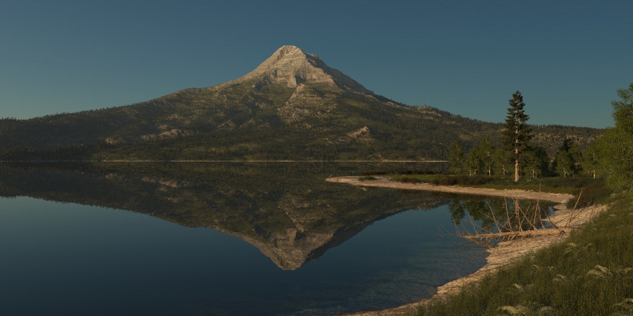 secco verde legno riflessione lago erba natura montagna superficie liscia