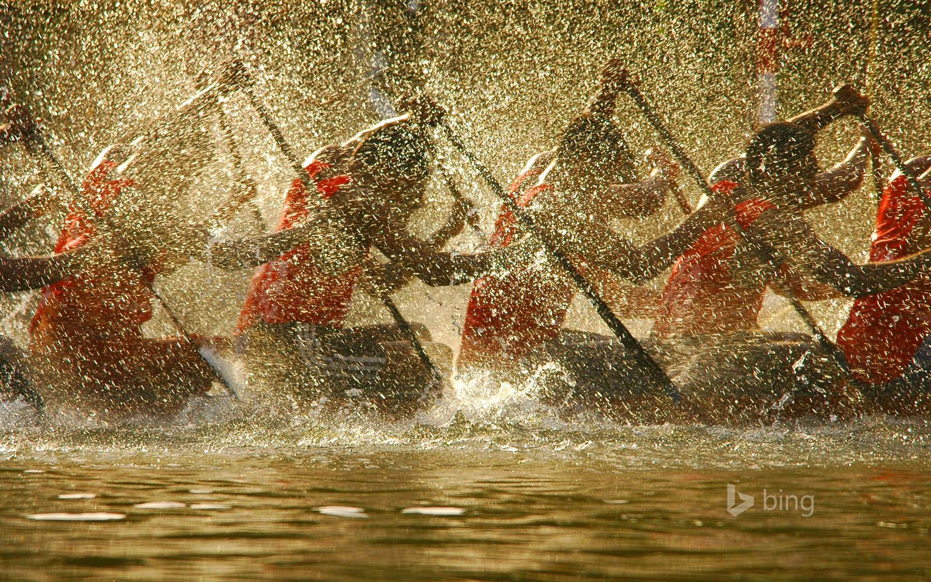 alapuzha india race rowing boat spray