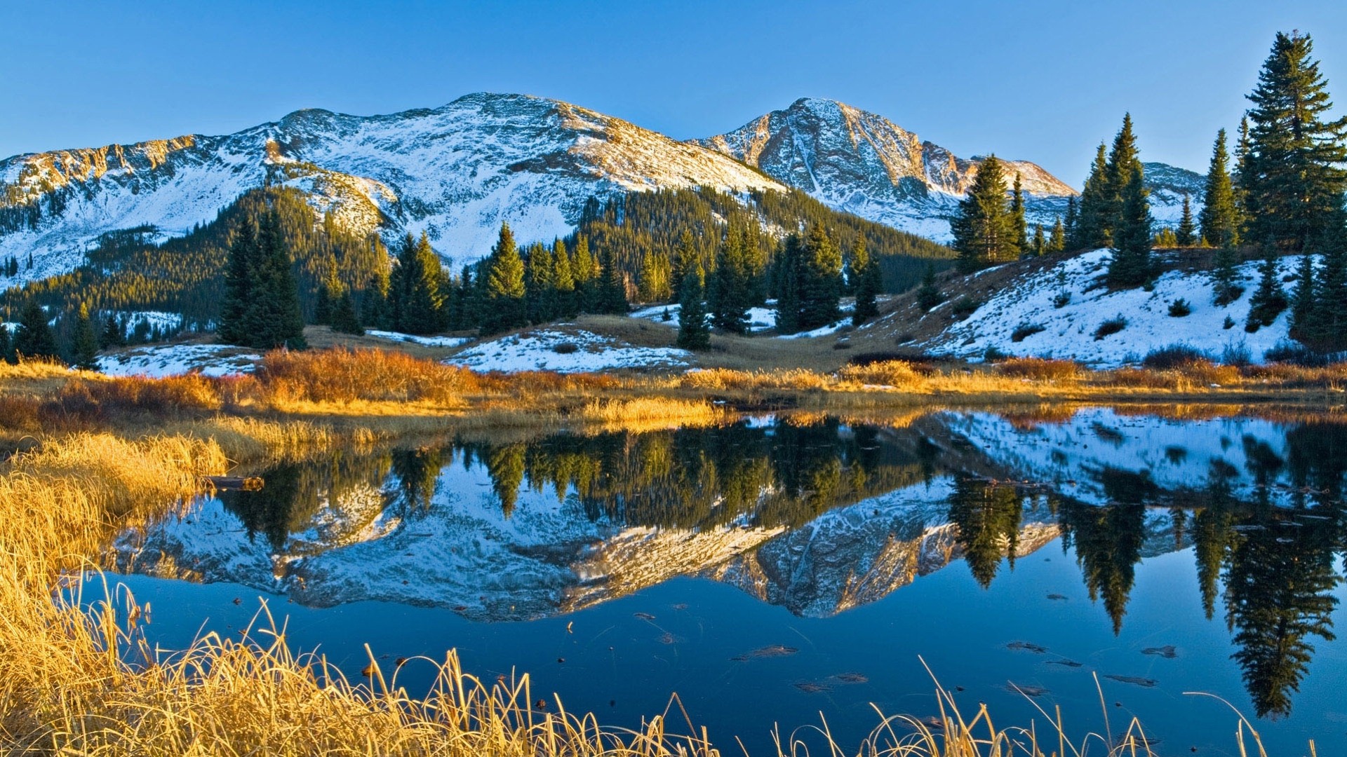 reflexion see bäume berge