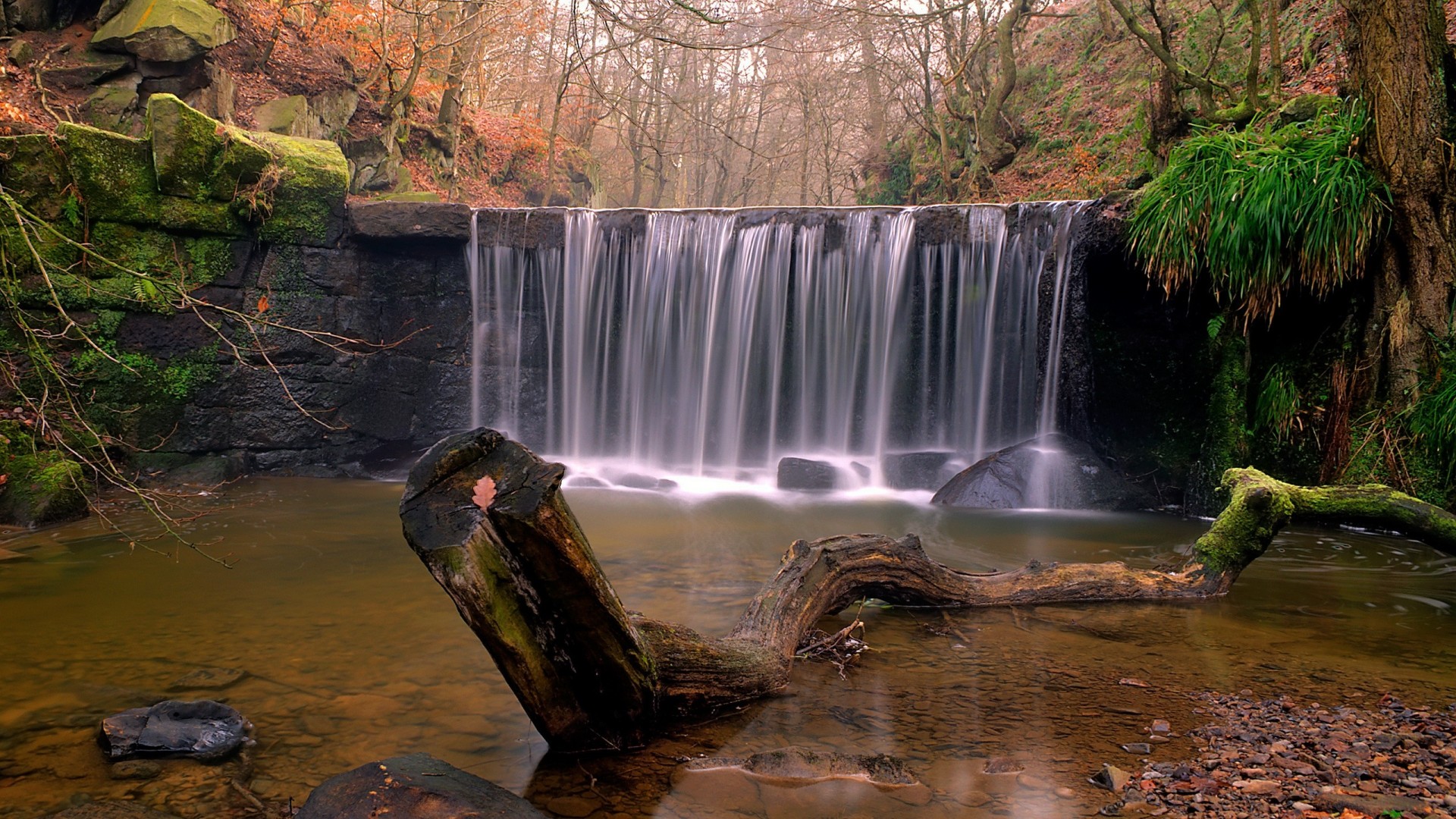 pierres cascade nature arbres forêt eau