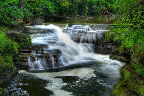 Steiler Wasserfall im wilden Wald