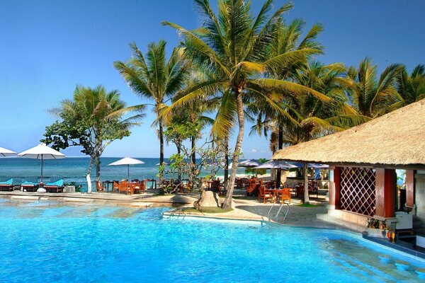 House with swimming pool in Indonesia on the background of the sea and palm trees