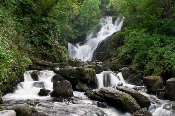 Fascinante cascada del bosque de verano