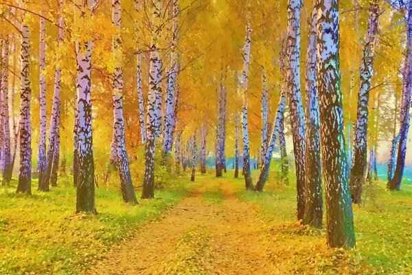 Autumn birch grove on the background