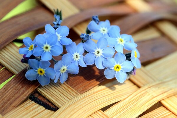 Fiori estivi sullo sfondo di un cesto di vimini