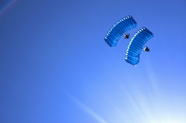 Deux parachutistes dans le ciel bleu