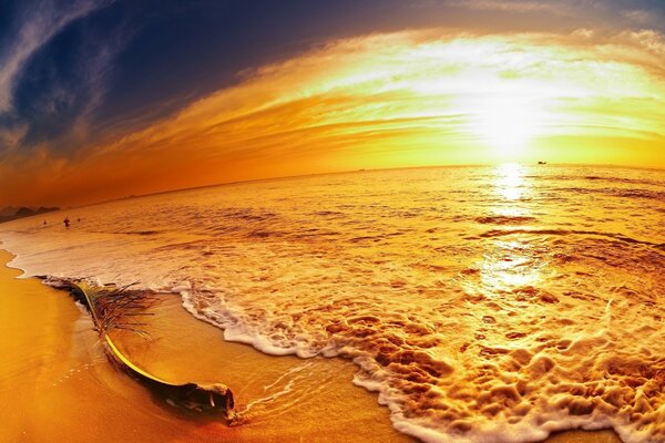 Панорама оранжевого заката и моря