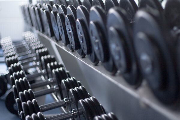 Gym. Dumbbells in a row
