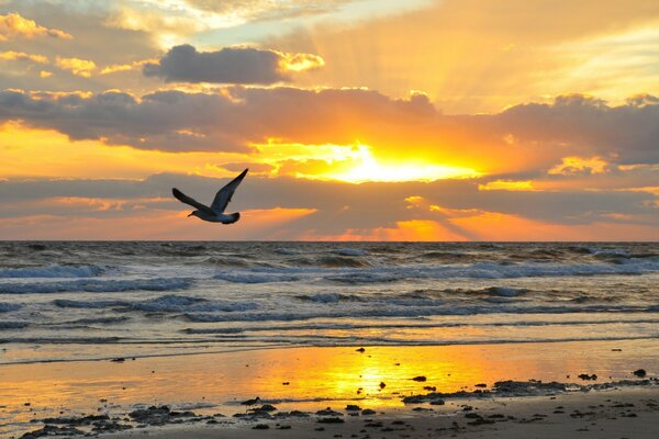 Sunset on the shore of the undulating sea