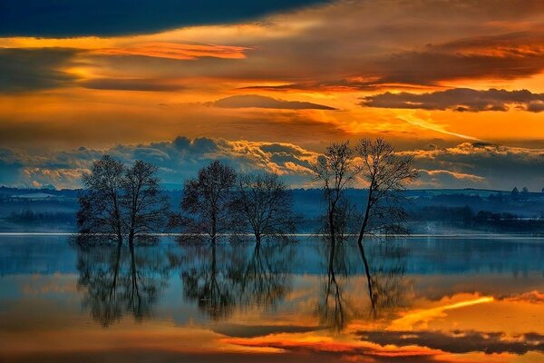 Beautiful sunset forest by the lake