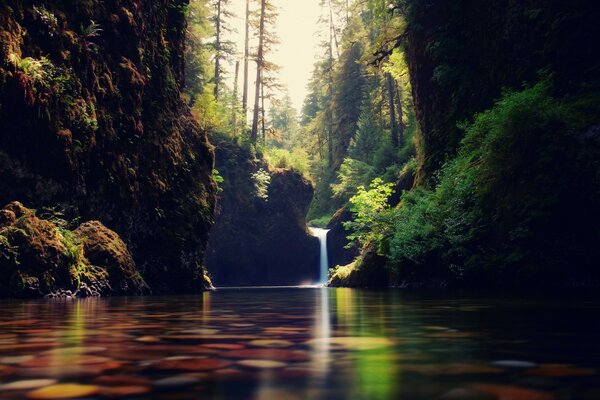 Waterfall in the silence of the forest, filling the air