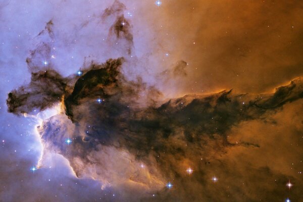 Mit Blick auf Hubble kann man die Silhouette eines Adlers im Nebel sehen