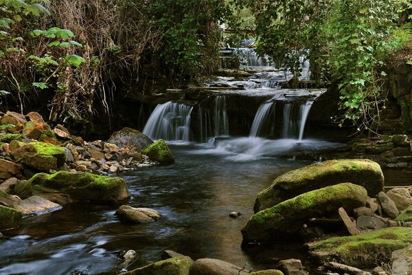 Ein steiniger Wasserfall unter Bäumen