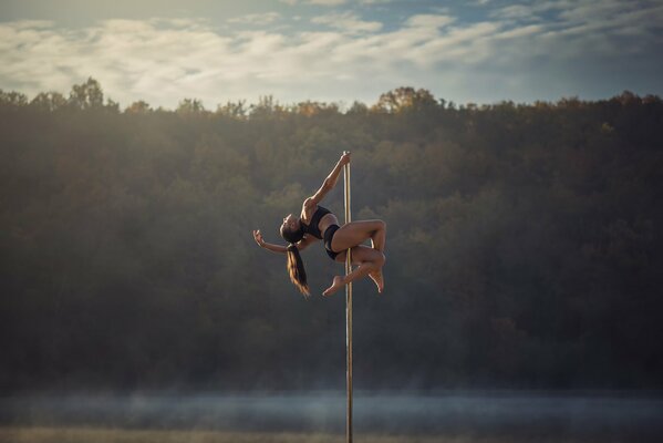 Gymnast Chris Silva on pole