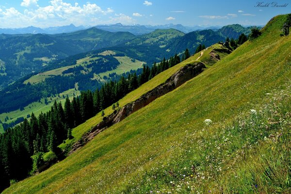 Prairies sur les pentes des montagnes meilleurs pâturages