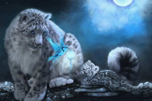 Leopard looks at a blue bird under the moonlight