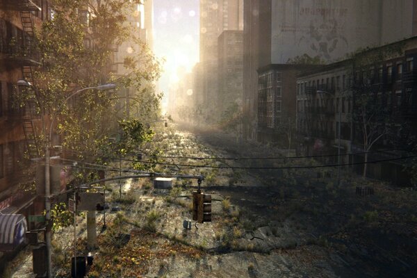 Eine verlassene Stadt, die Pflanzen sprießen bei Sonnenaufgang