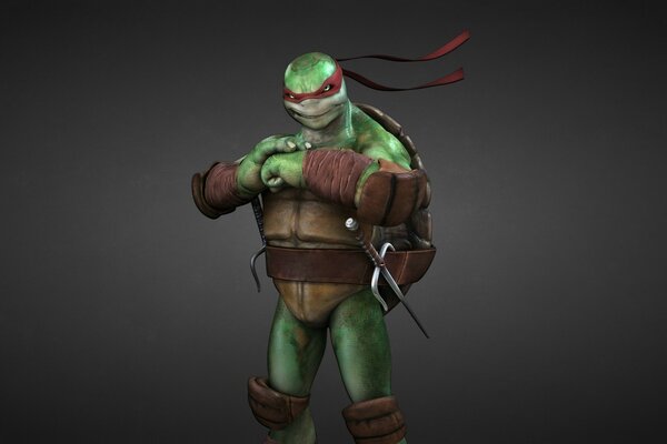 Ninja turtle on a dark background