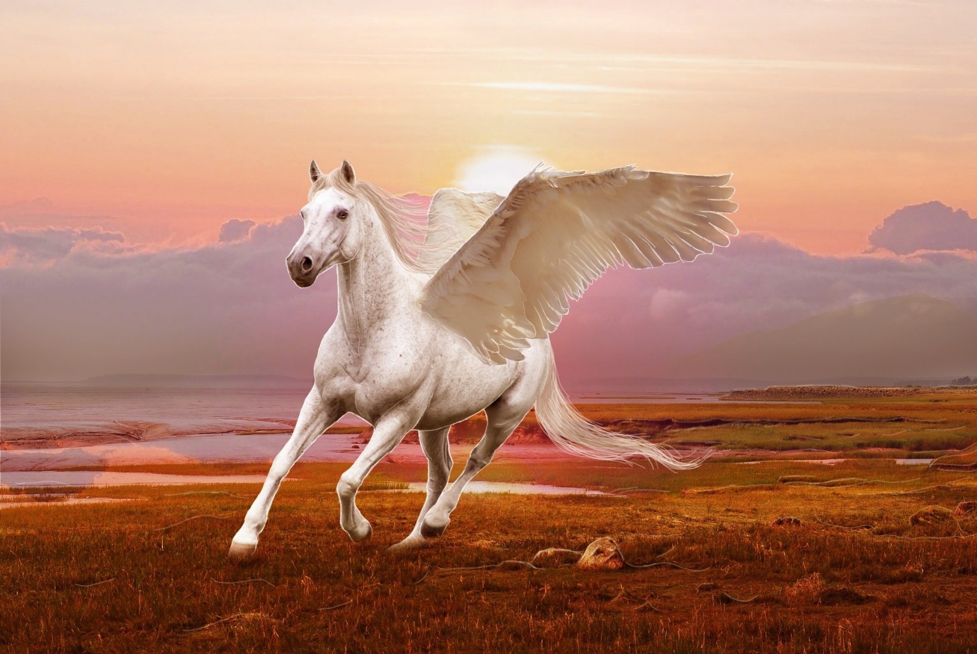 art pegasus 3d cheval