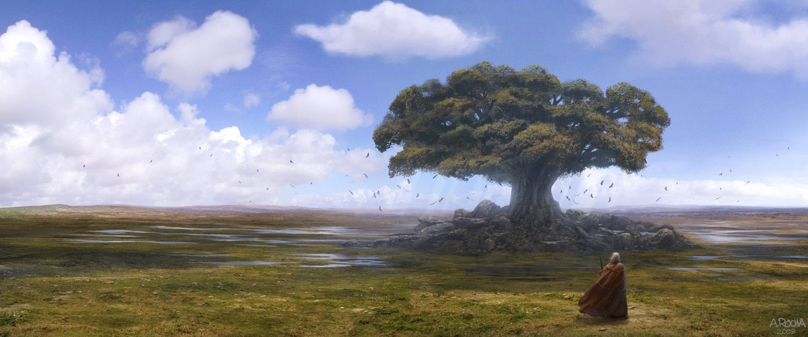 art tree grass horizon water clouds the field raven traveler