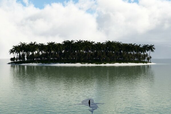 An uninhabited island in the sea