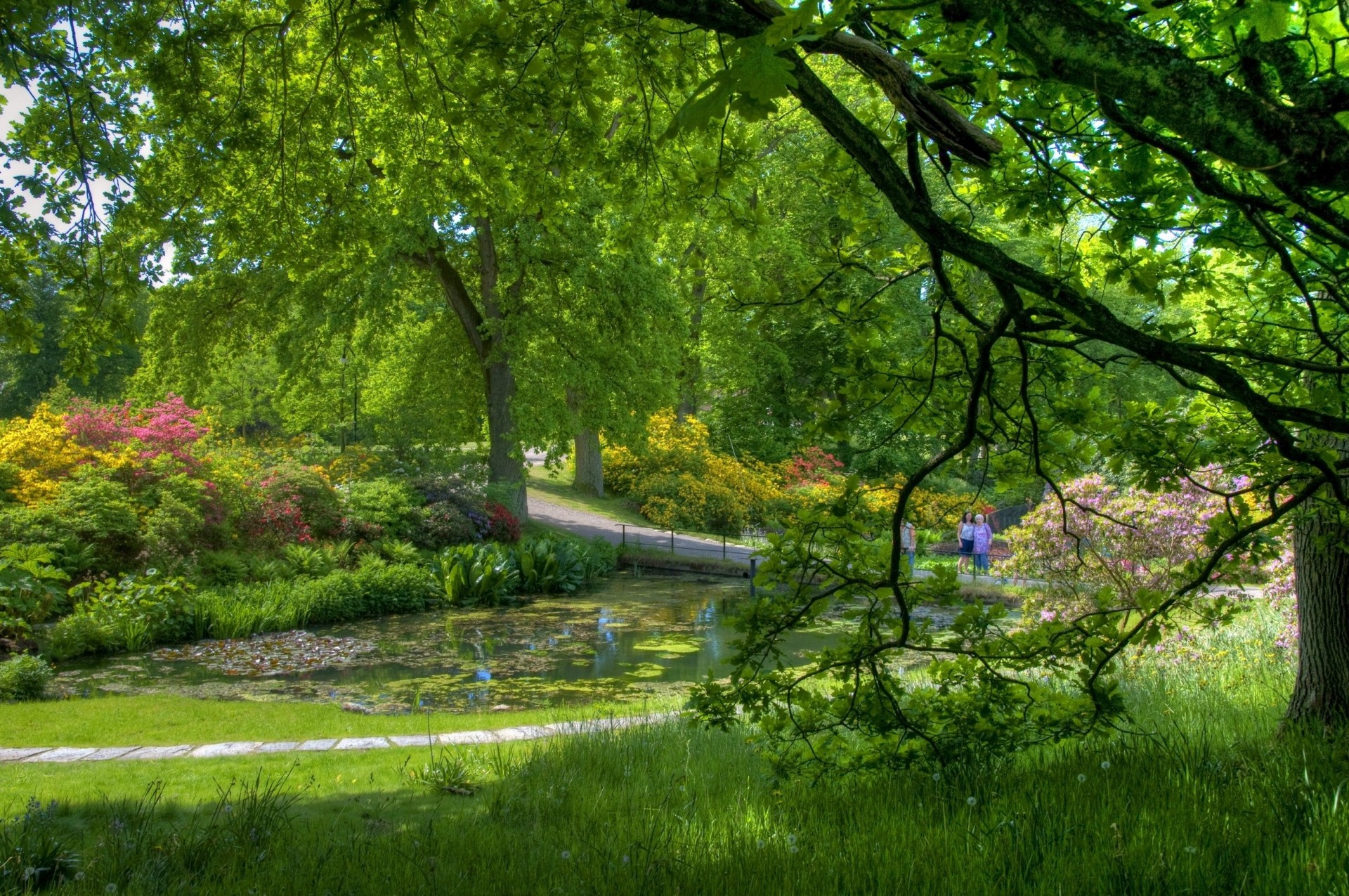 étang arbres sérénité verdure jardin gens