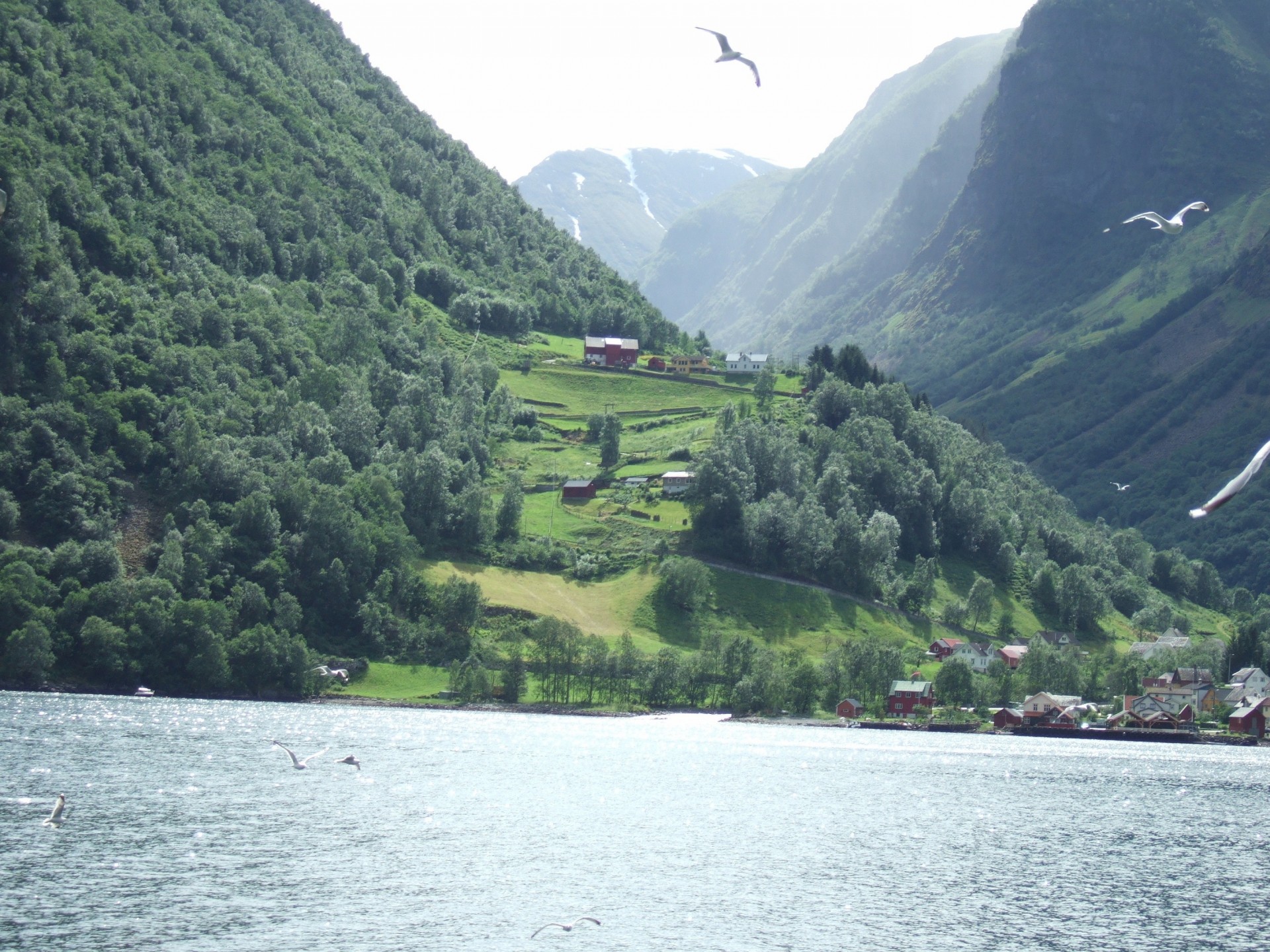 norvège fjord