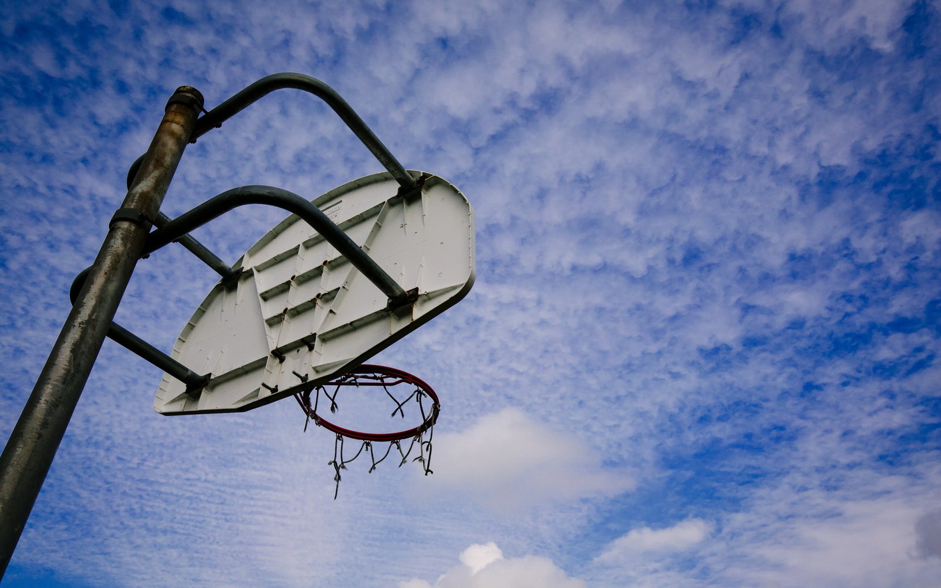 basket-ball bouclier sport