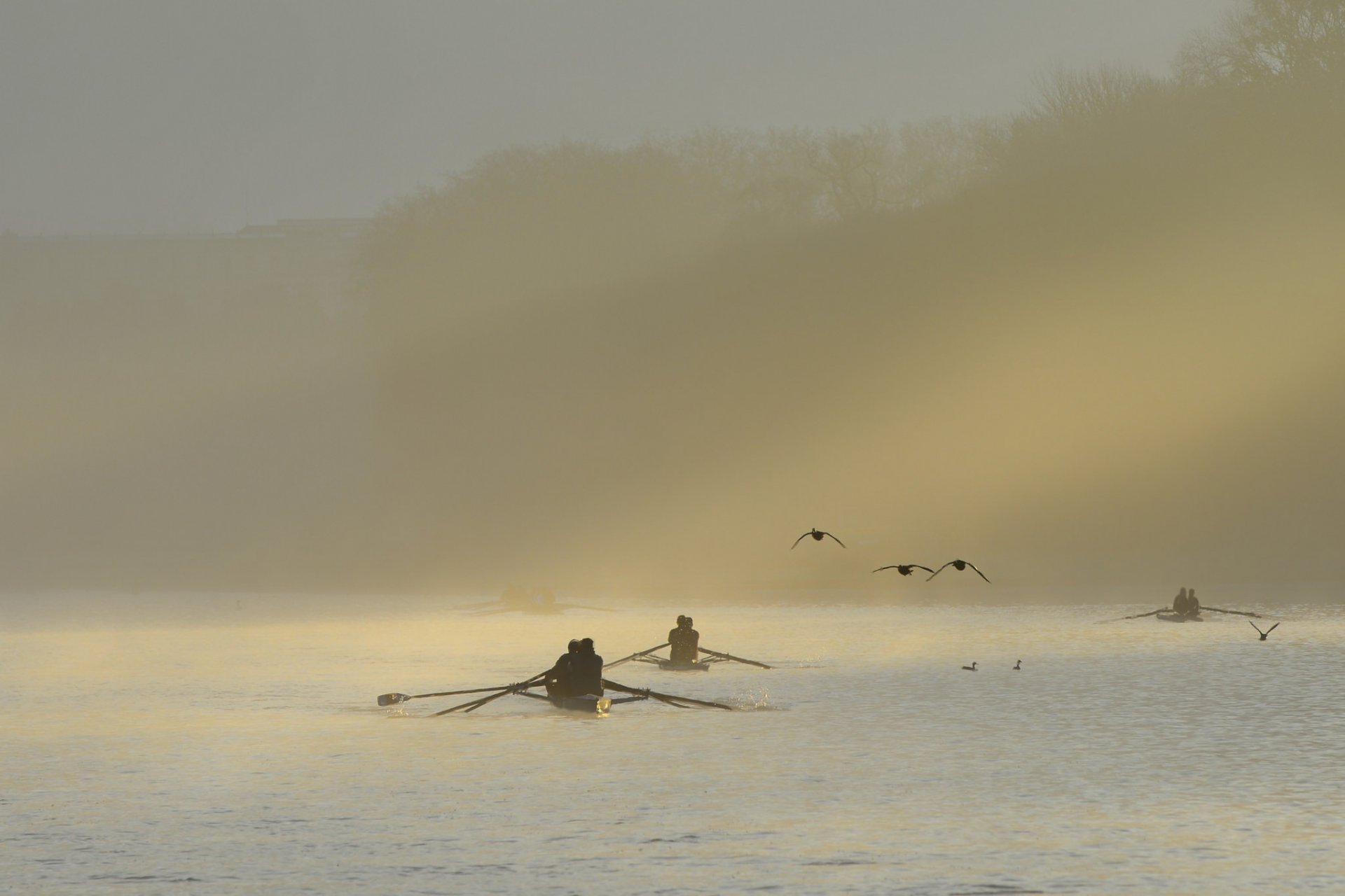 mattina nebbia fiume barche