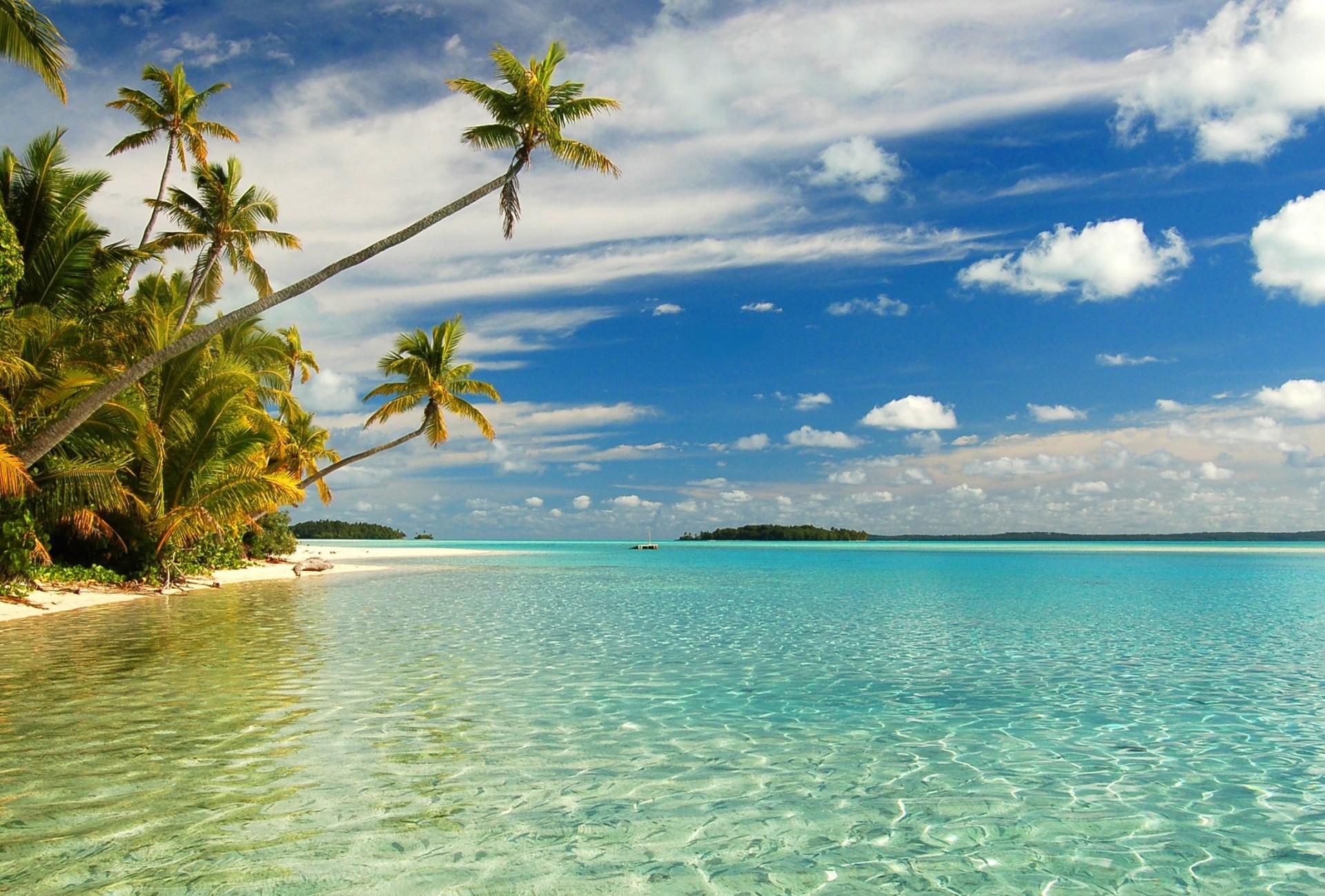 spiaggia palme nuvole cielo mare sabbia