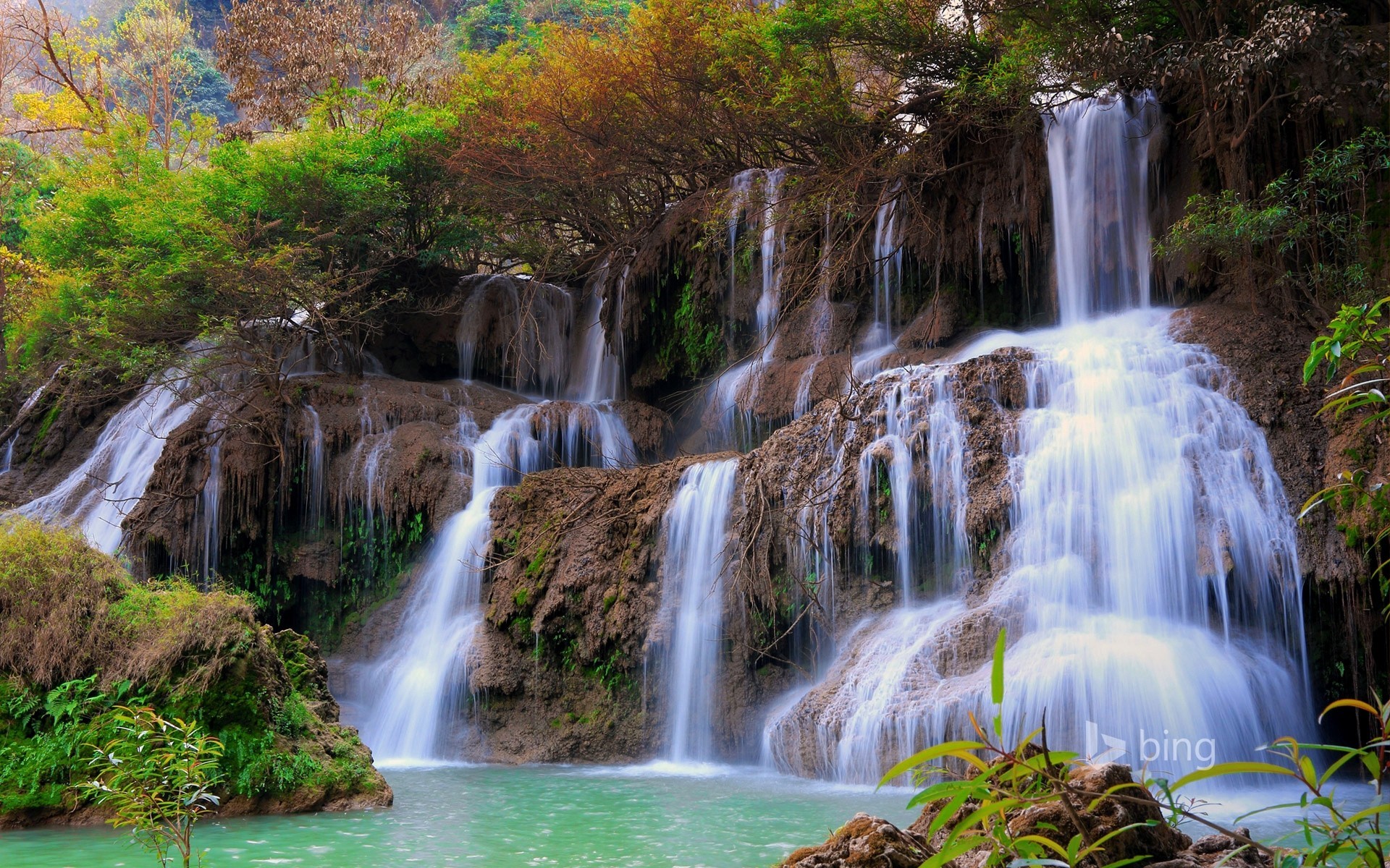 bosque cascada chaqueta