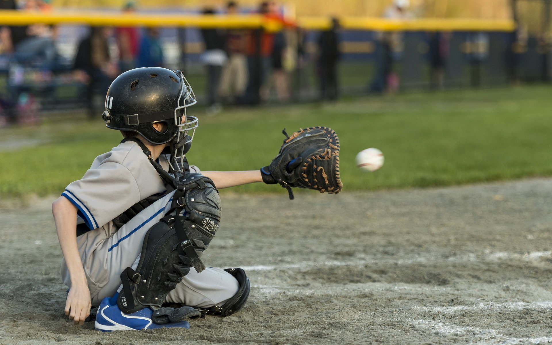 бейсбол little league спорт