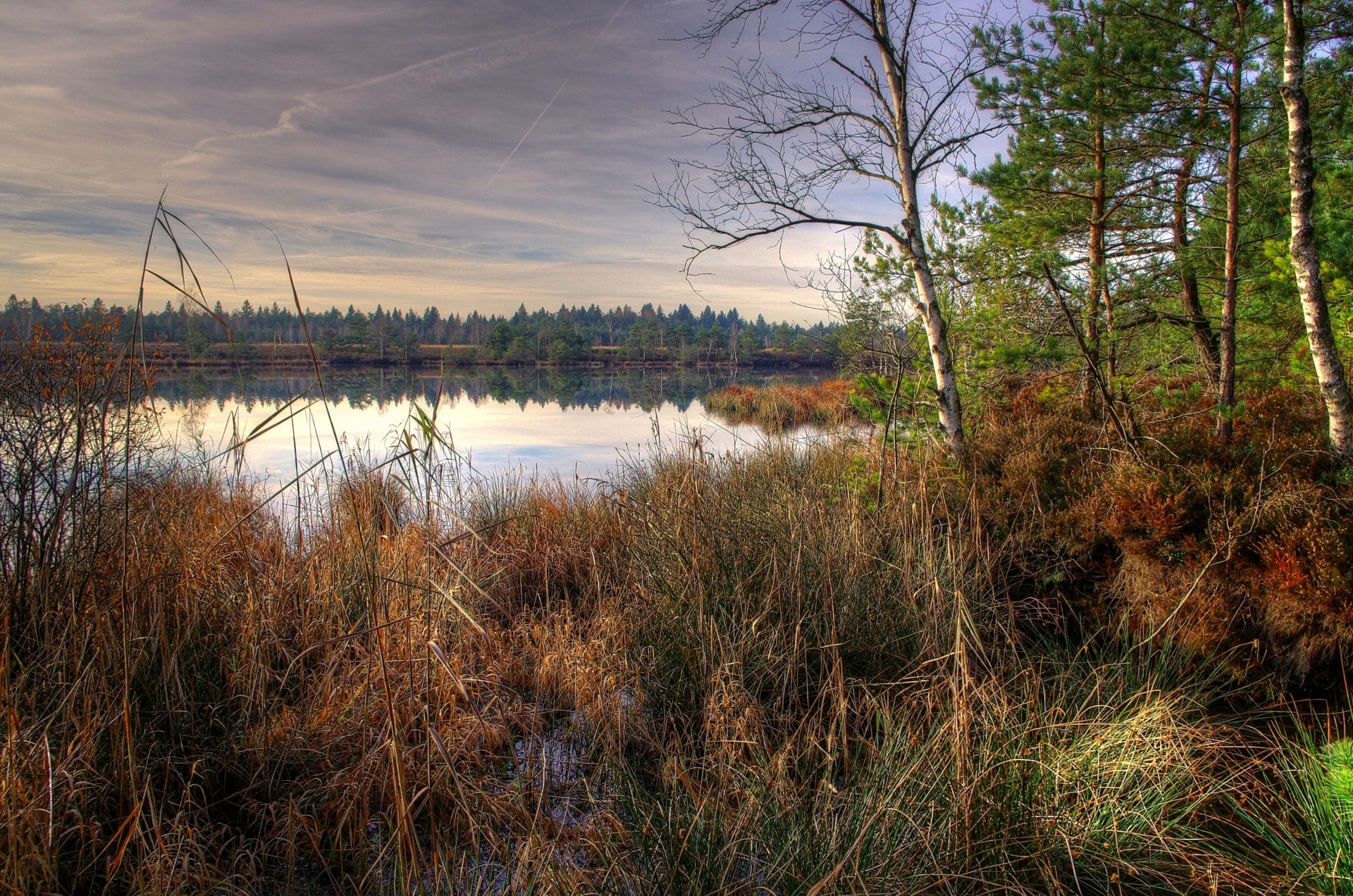 jezioro drzewa trawa krajobraz natura