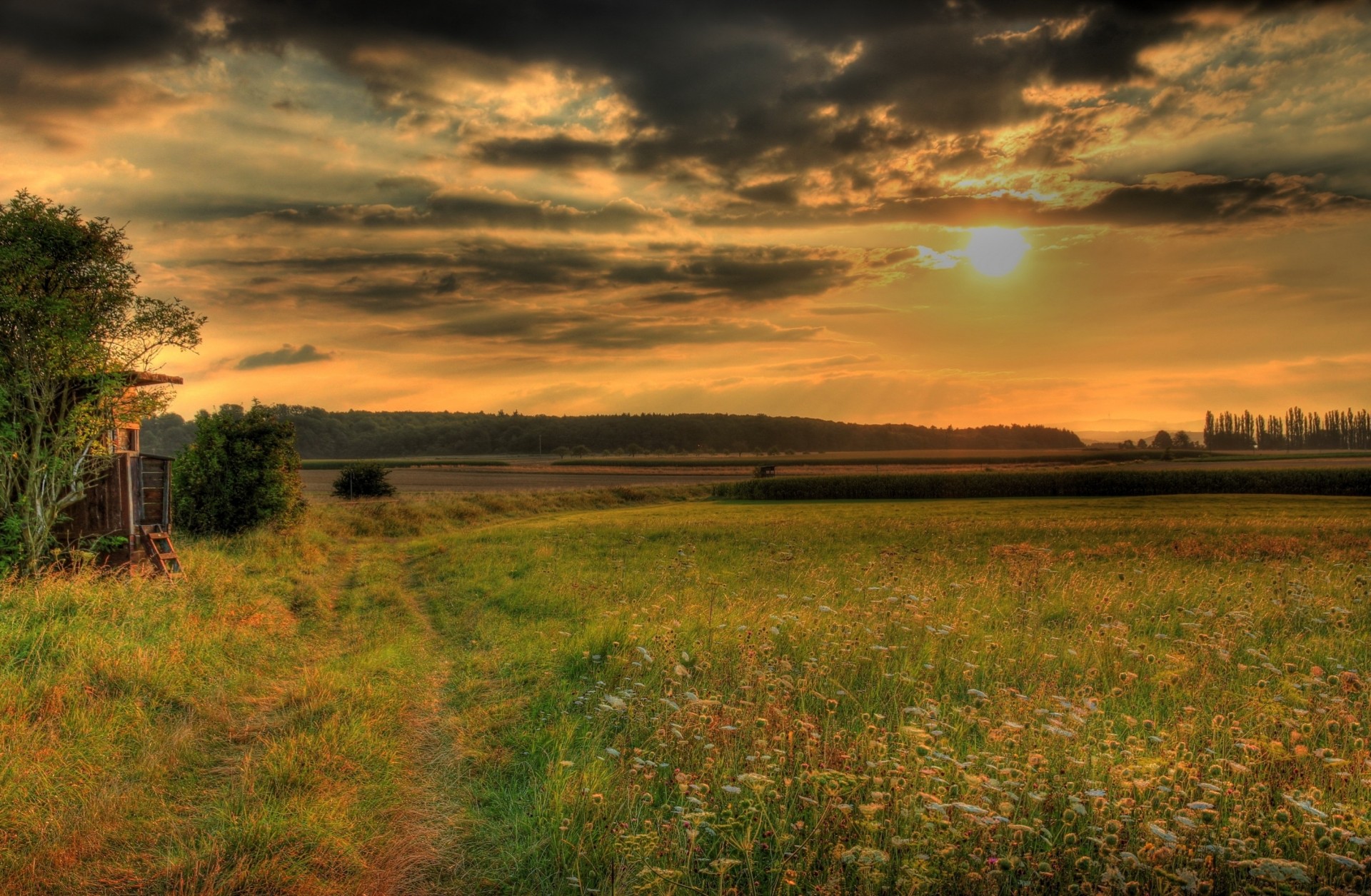 prati natura erba assia cielo germania hdr