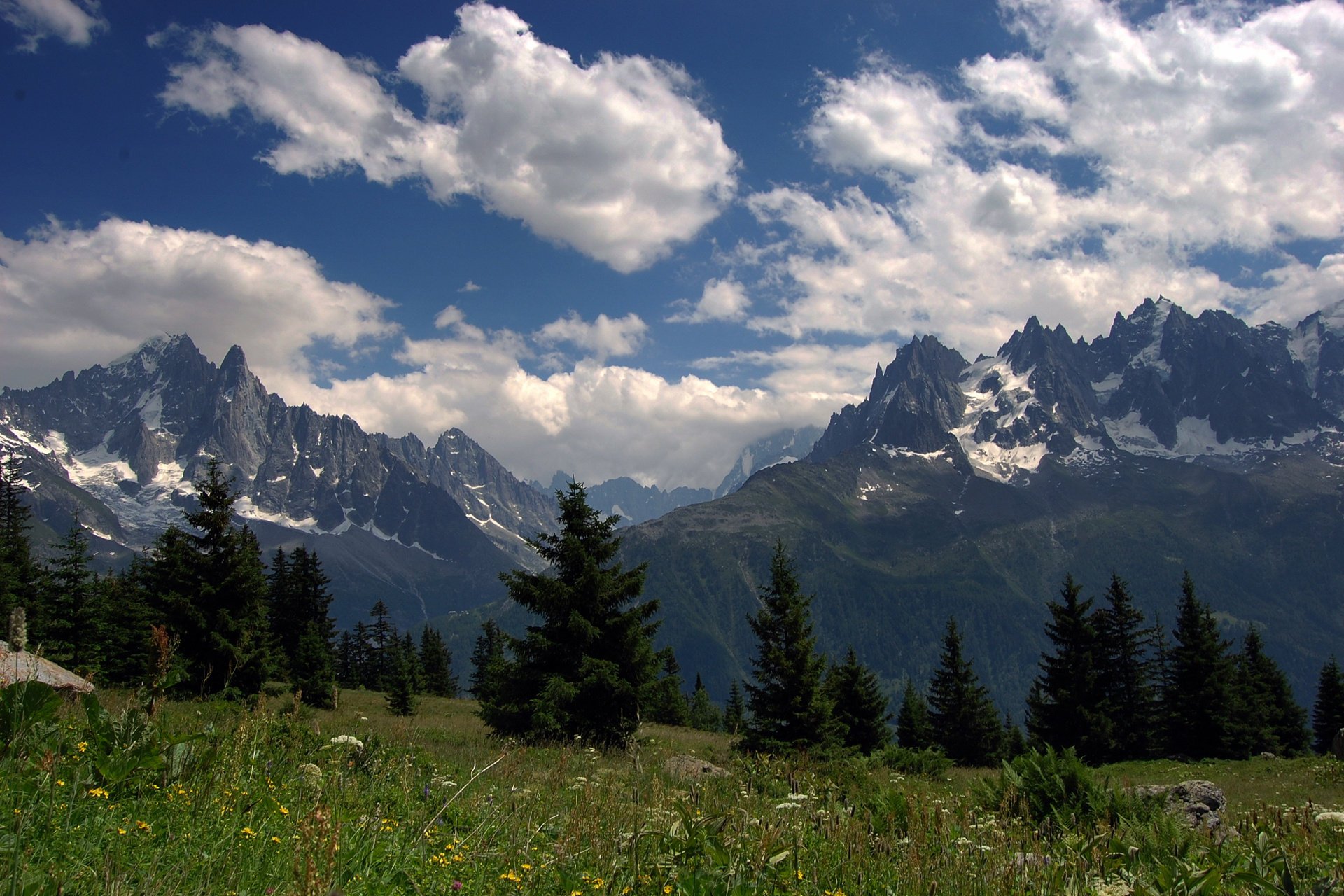 flowers alps the sky forest mountains meadows grass summer top