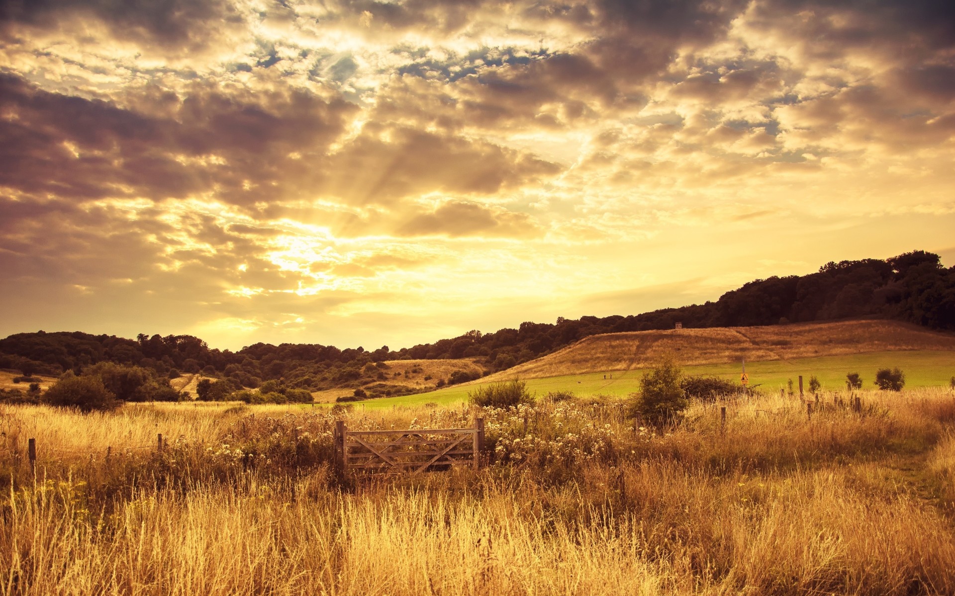 paisaje naturaleza toscana puesta de sol colinas