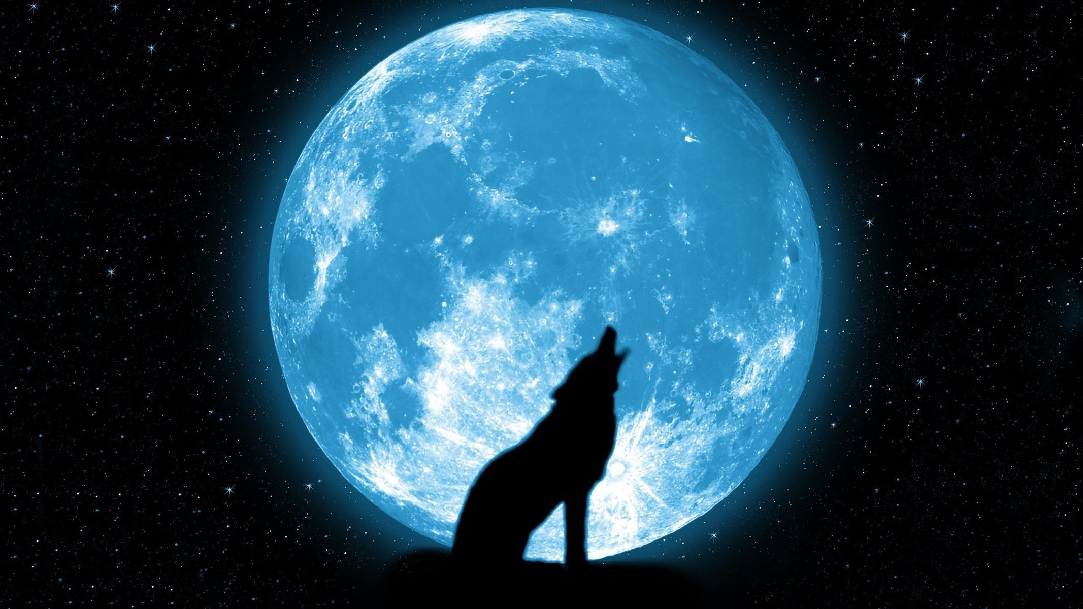 the moon beautiful wolf stars howl