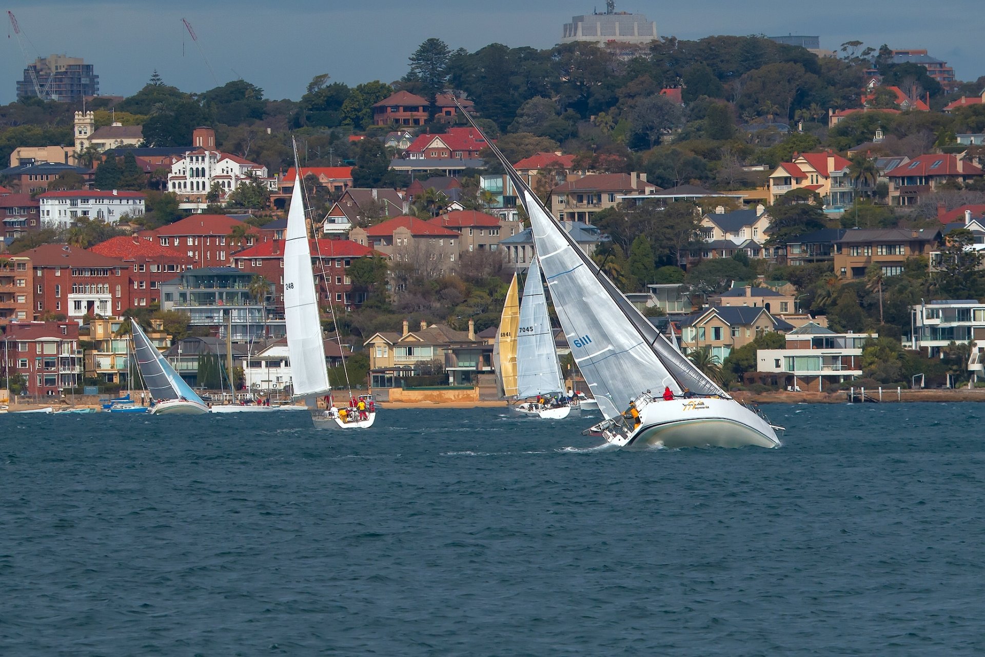 porto di sydney sydney australia baia di sydney yacht regata edifici