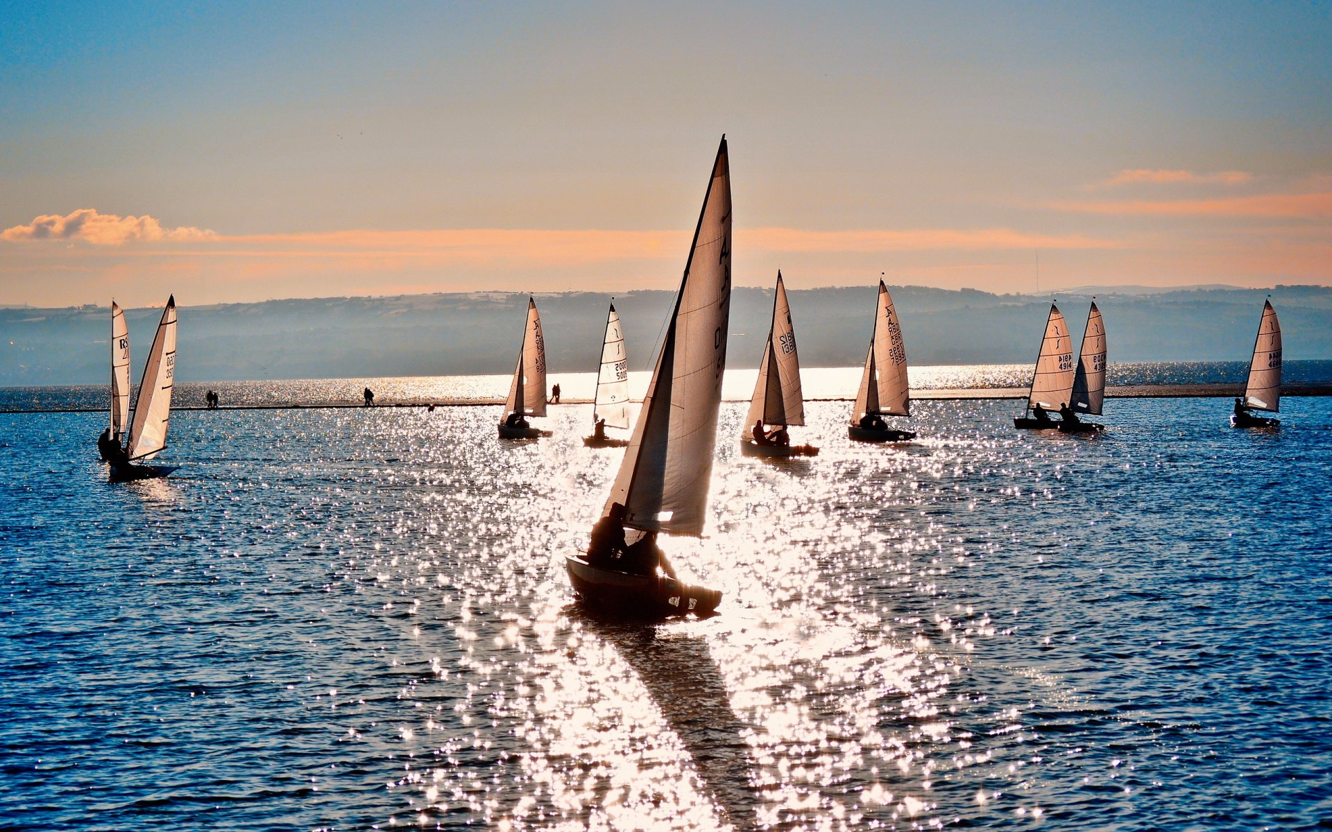 segelboote auf see meer yachten sport natur